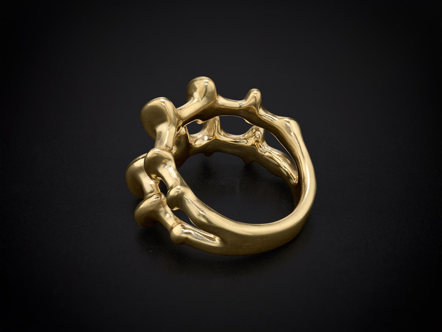 Chrona Demi Ring by VRAM